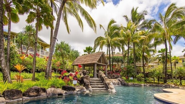 A tropical resort with a clear pool, palm trees, and a gazebo.