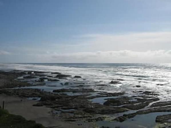 Beach - Cottage by the Sea - Ocean Front (Yachats)