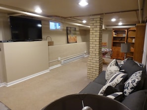 Smart TV, fireplace, DVD player, books