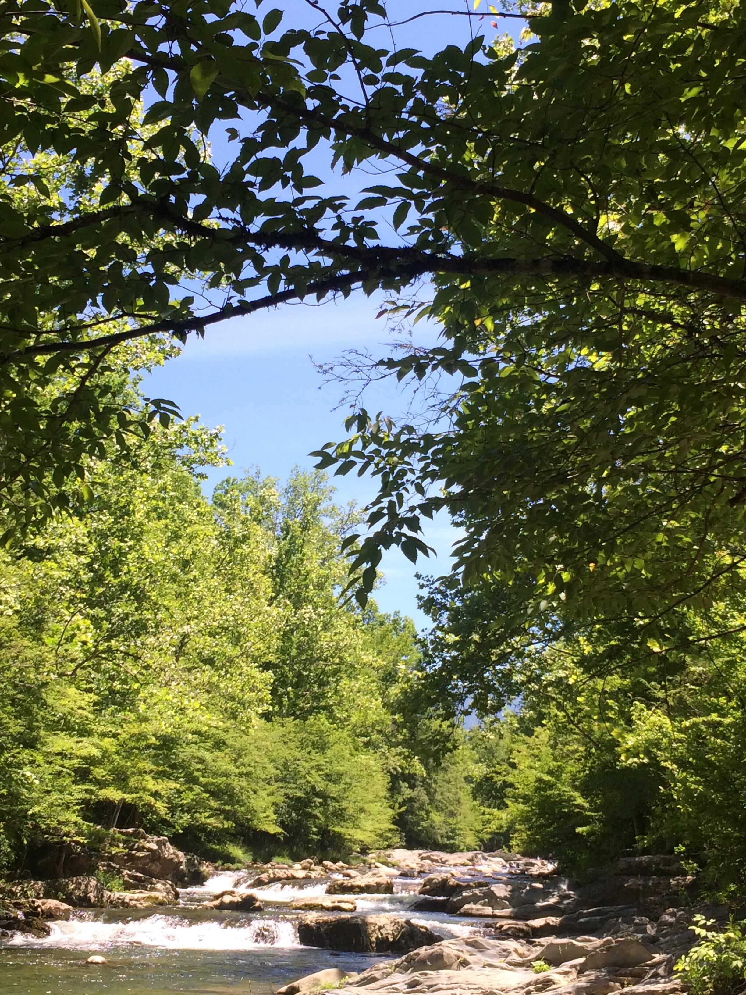 Greenbrier