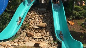 Eine Rutsche mit zwei Bahnen, umgeben von Felsen und einem Pool am Ende.