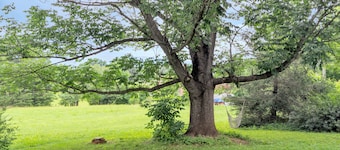 Country escape in the heart of the Blue Ridge Mountains