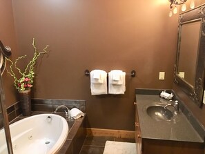 Hair dryer, towels, toilet paper - Creekside Condo w/ private hot tub at Boyne!  Ski-in/Ski-out, Golf, Bike, Swim  (Boyne Falls)