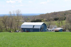 Exterior - Peaceful Getaway - 12 Mins to Saratoga Race Track (Saratoga Springs)