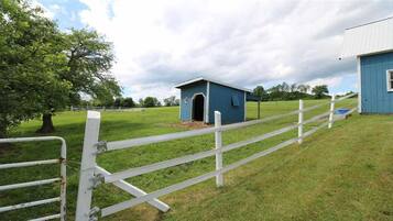 Parco della struttura