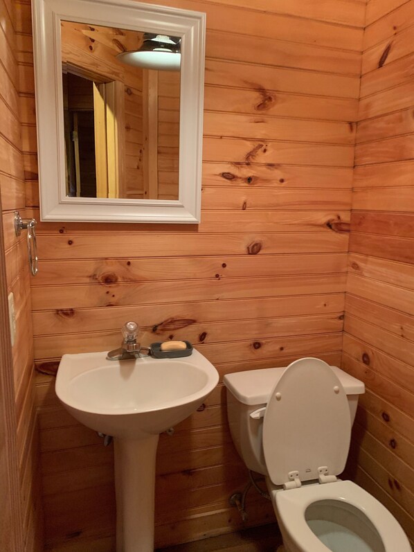 A wooden-paneled bathroom with a white sink, a toilet, and a mirror above the sink. - Rustic Waterfront Cabin Lake Wateree (Ridgeway)