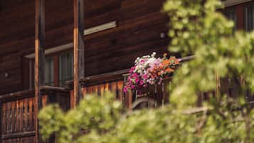 Udsigt fra overnatningsstedet