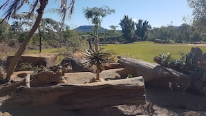 A naturalistic enclosure with large rocks, a palm tree, and a grassy hill in the background. - Beerwah House, 3Bedroom , swimming pool, near Australia Zoo, Sunshine Coast (Beerwah)