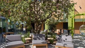 Un espace patio aménagé avec deux canapés gris, une table en bois et un grand arbre qui offre de l’ombre.