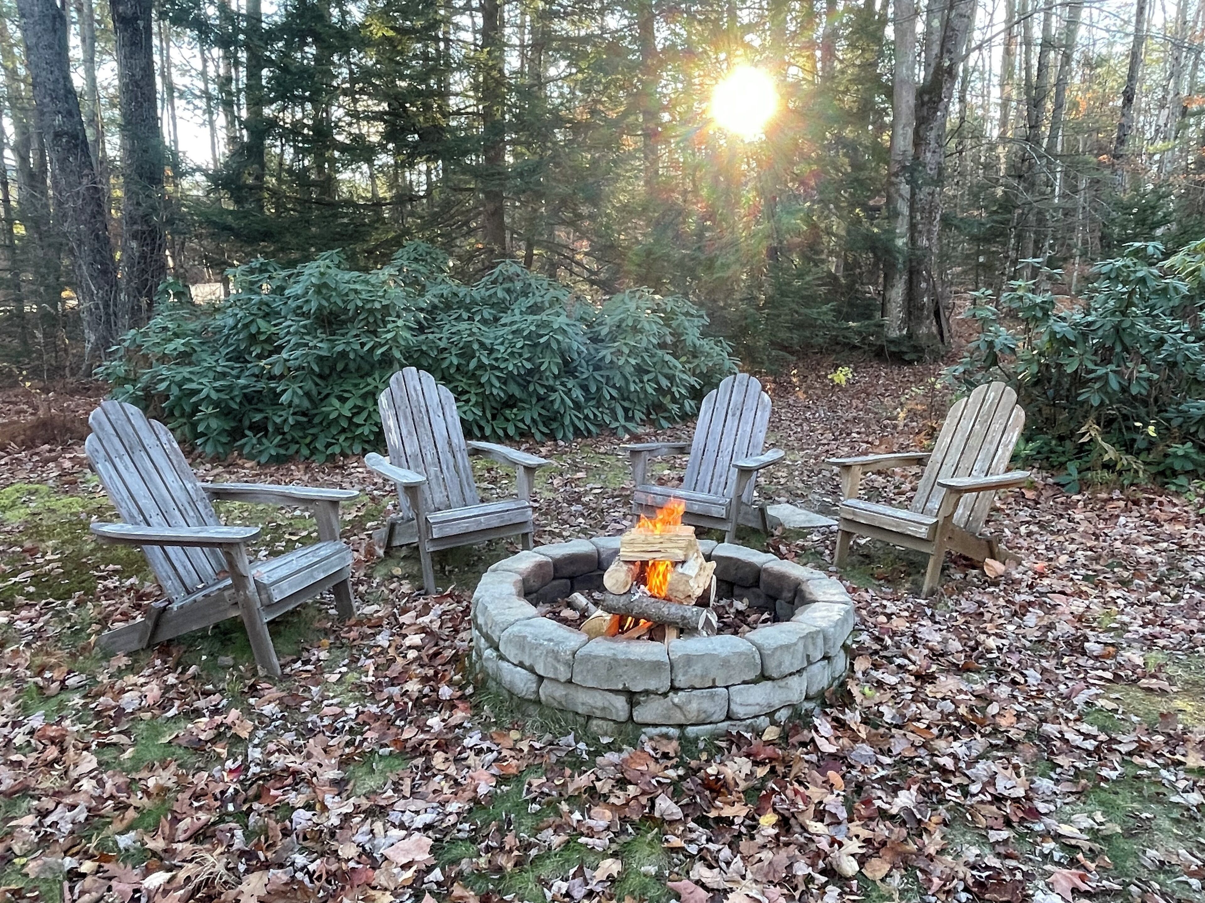 Un foyer circulaire en pierre, alimenté par des bûches, entouré de quatre chaises Adirondack, le tout situé dans un cadre forestier.