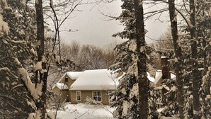 A house surrounded by snow-covered trees. - Luxurious Farmhouse Style Home - Get away from it all in picturesque setting (Brownfield)