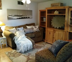 Televisión, chimenea, Hulu y servicios de streaming 