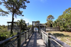 Property grounds - Quiet Neighborhood, Gulf Front Community Pool & Hot Tub ~ Beach Haven (Cape San Blas)