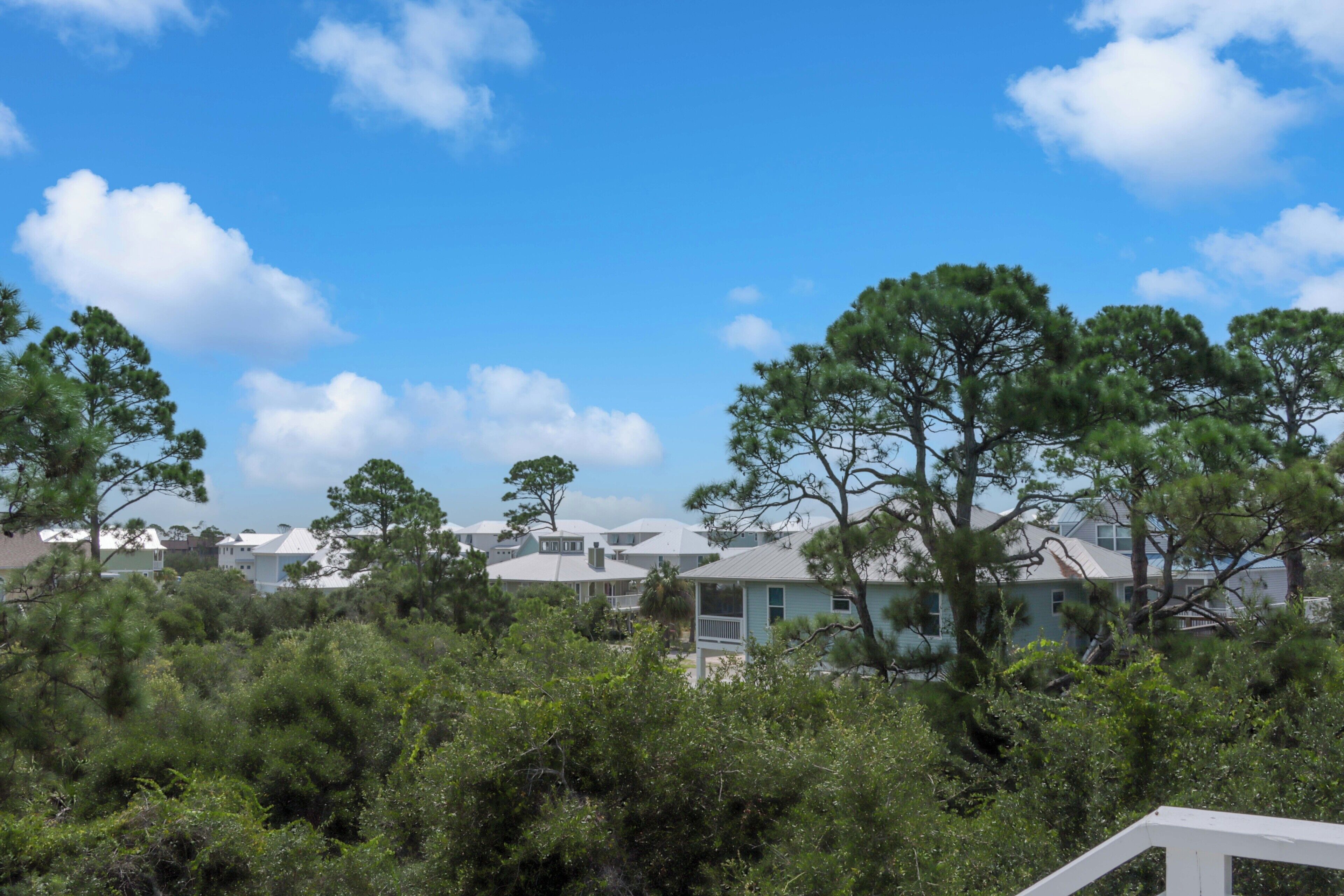 A coastal residential area with houses surrounded by dense greenery and trees.