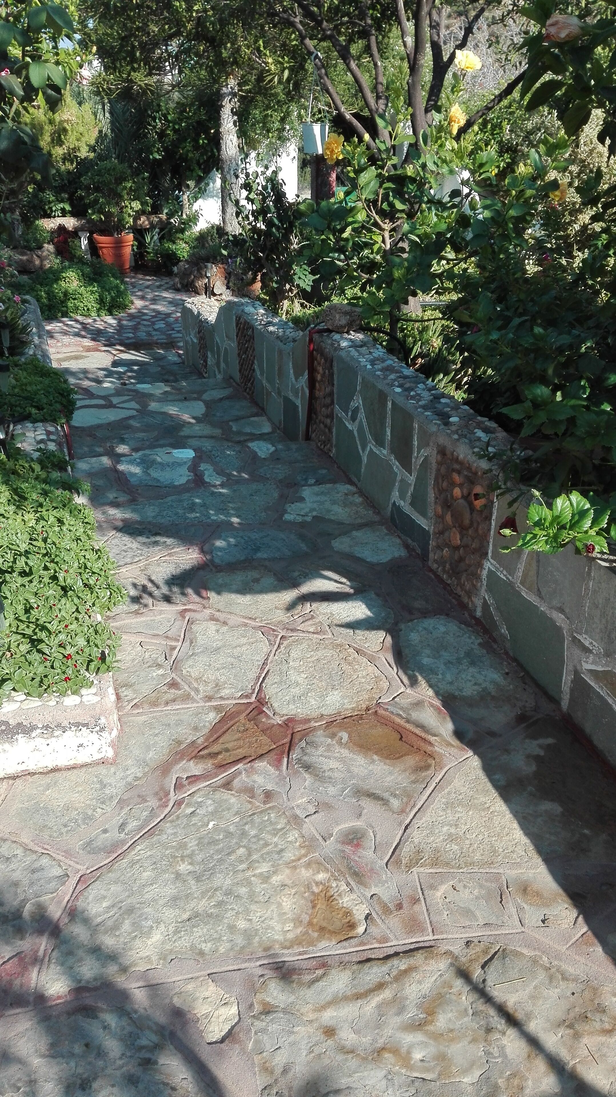 Un chemin de pierres dans un jardin, avec un mur de pierres d’un côté et diverses plantes et arbres.