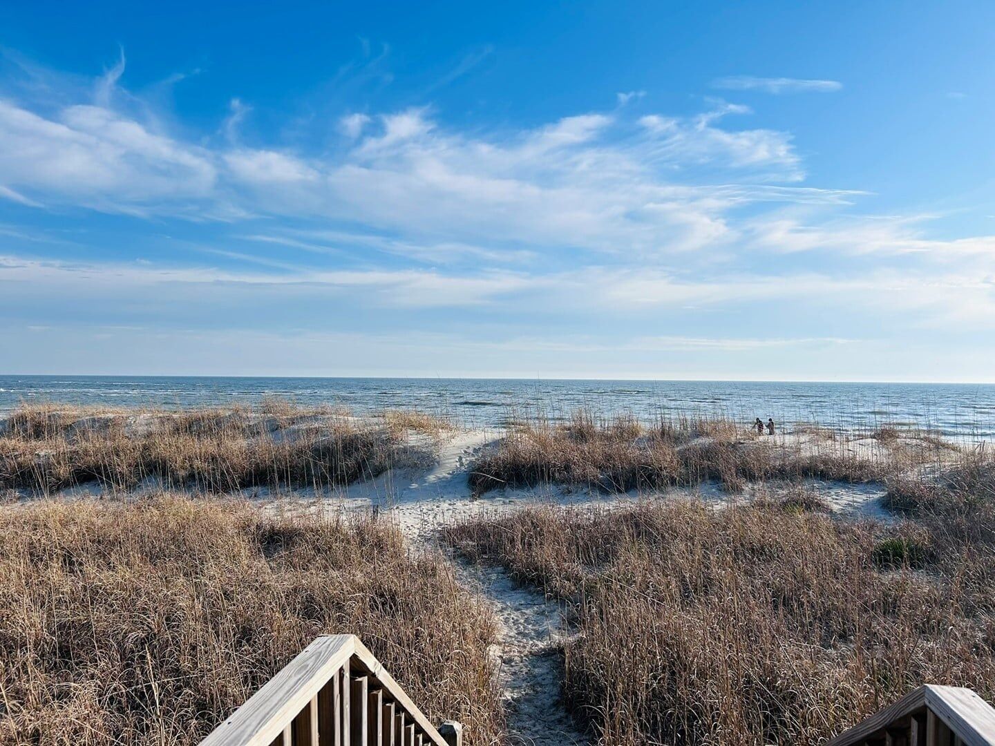 A beach with a wooden boardwalk leading to the water, surrounded by tall grasses.
