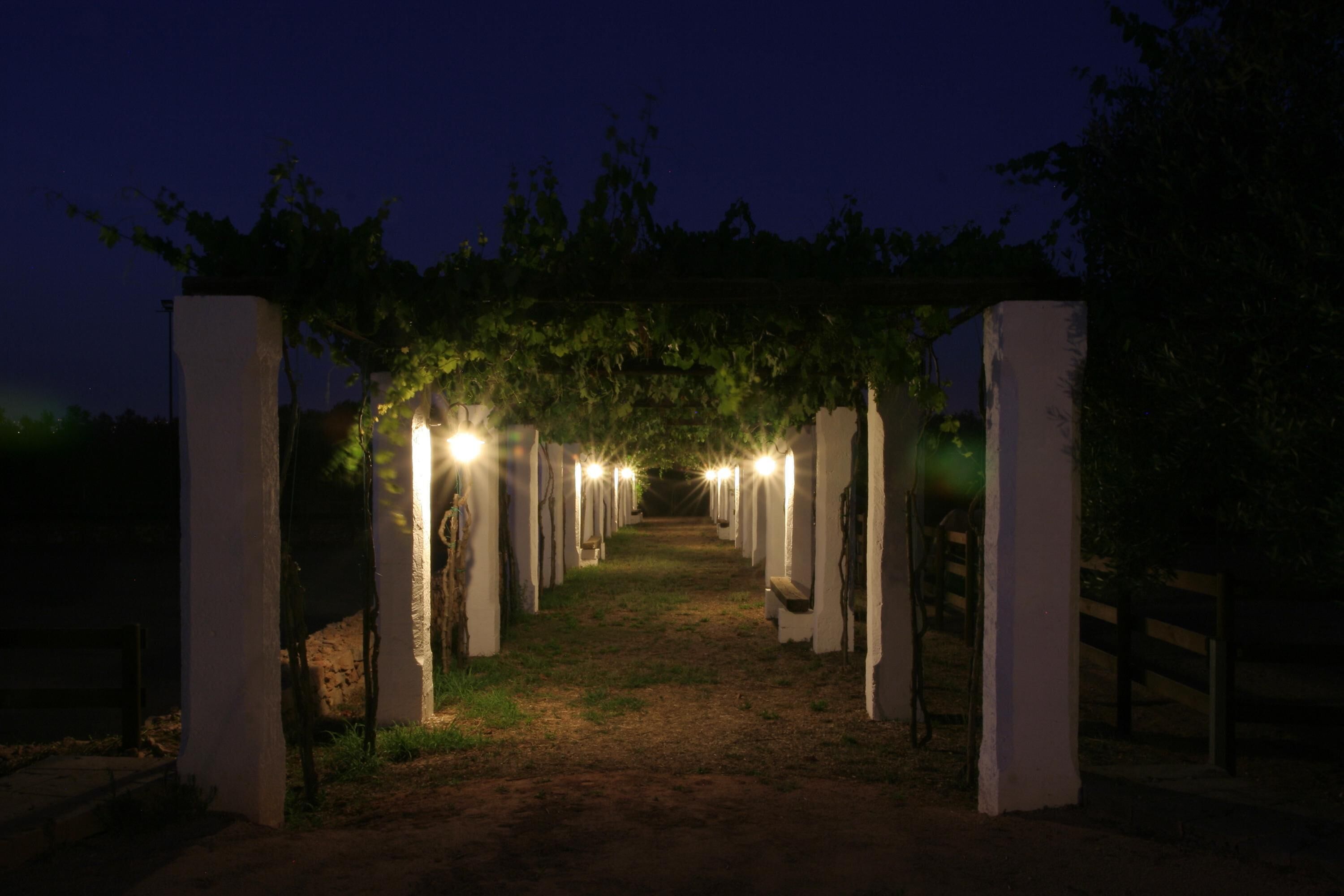 Parco della struttura