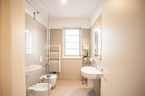 Combined shower/bathtub, hair dryer, bidet, towels