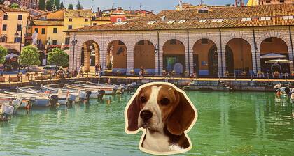 DesenzanoLoft Villa Meraviglia on the lake
