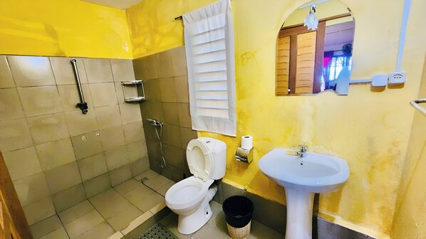 A bathroom with a toilet, sink, shower, and a mirror. - Tropical Paradise Nosy Be (Nosy Be)