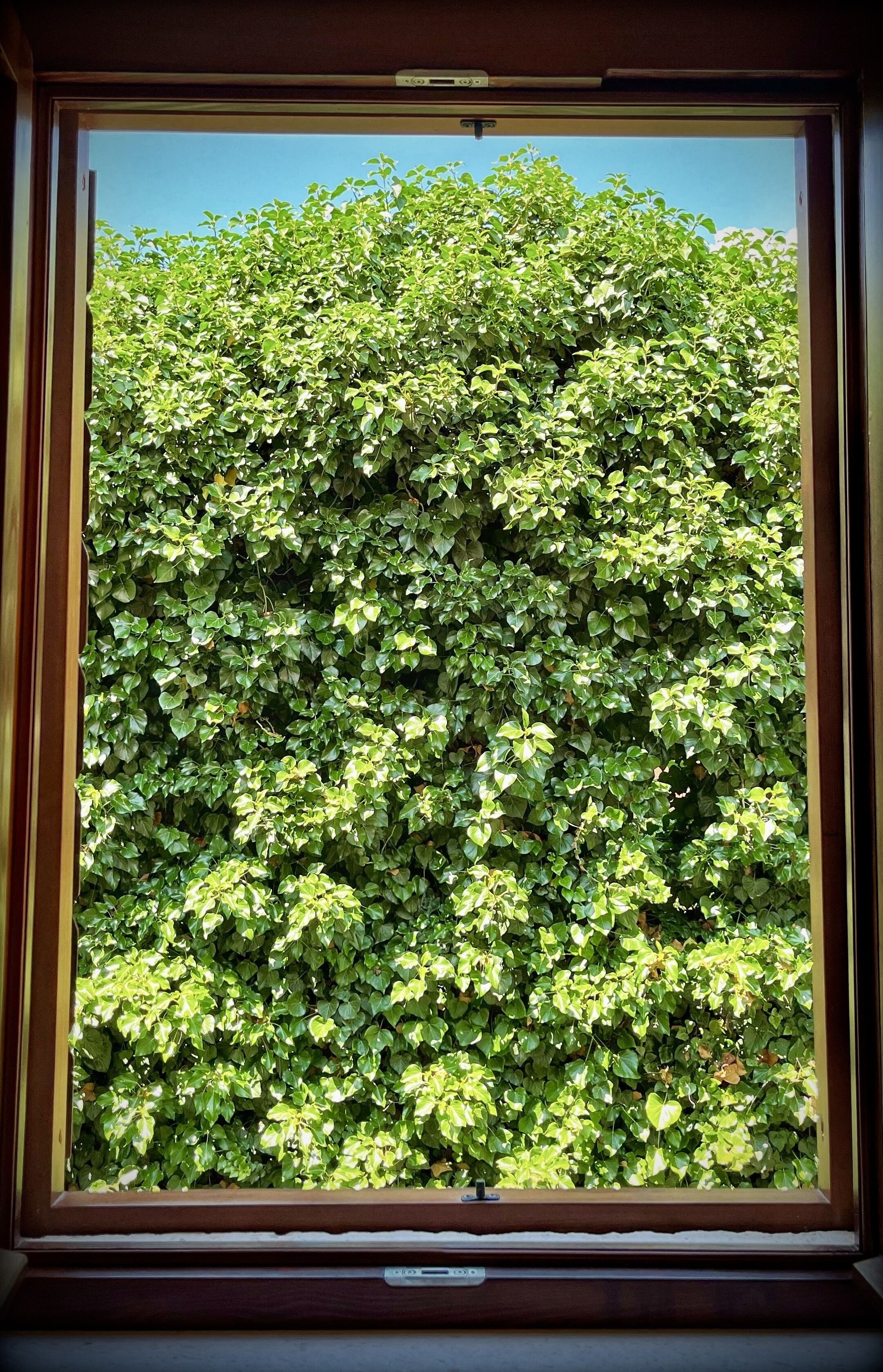 Foto - Apartments & Rooms Tiramola - Old Town