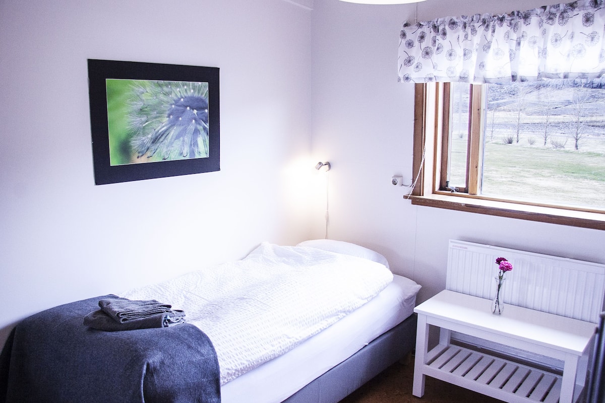 Blackout curtains, iron/ironing board, free WiFi, bed sheets