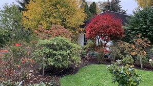 Un jardín con varios árboles, césped y un edificio al fondo.