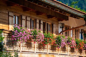 Imagen sin descripción, 4 de 40, botón