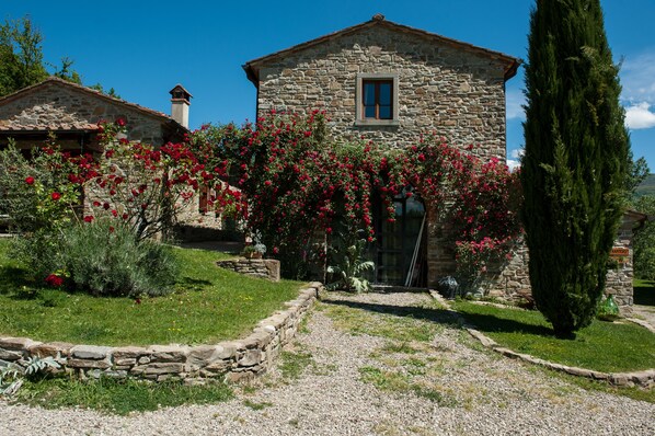 A stone house with a garden, a gravel path, and a tall tree.