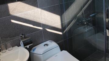 A modern bathroom with a toilet, sink, and glass shower enclosure.
