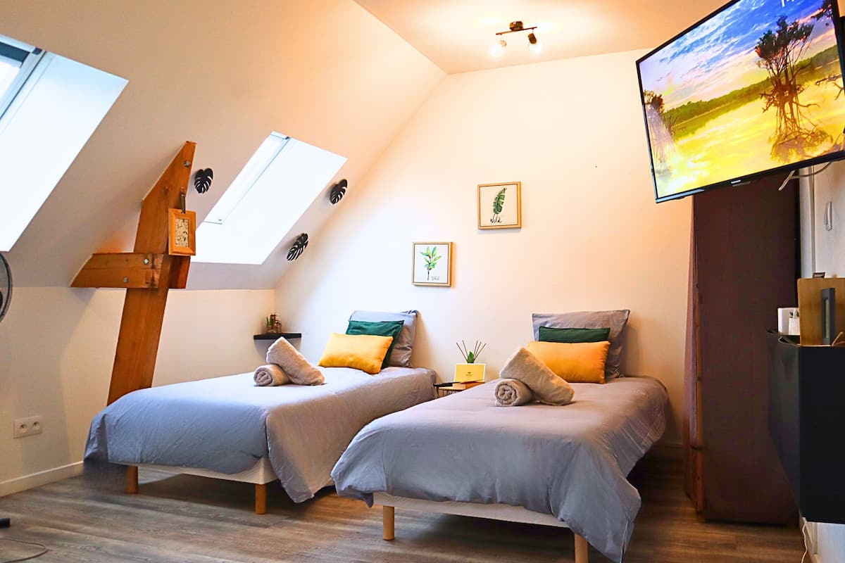 Une chambre avec deux lits, une lucarne, une télévision et une petite plante.