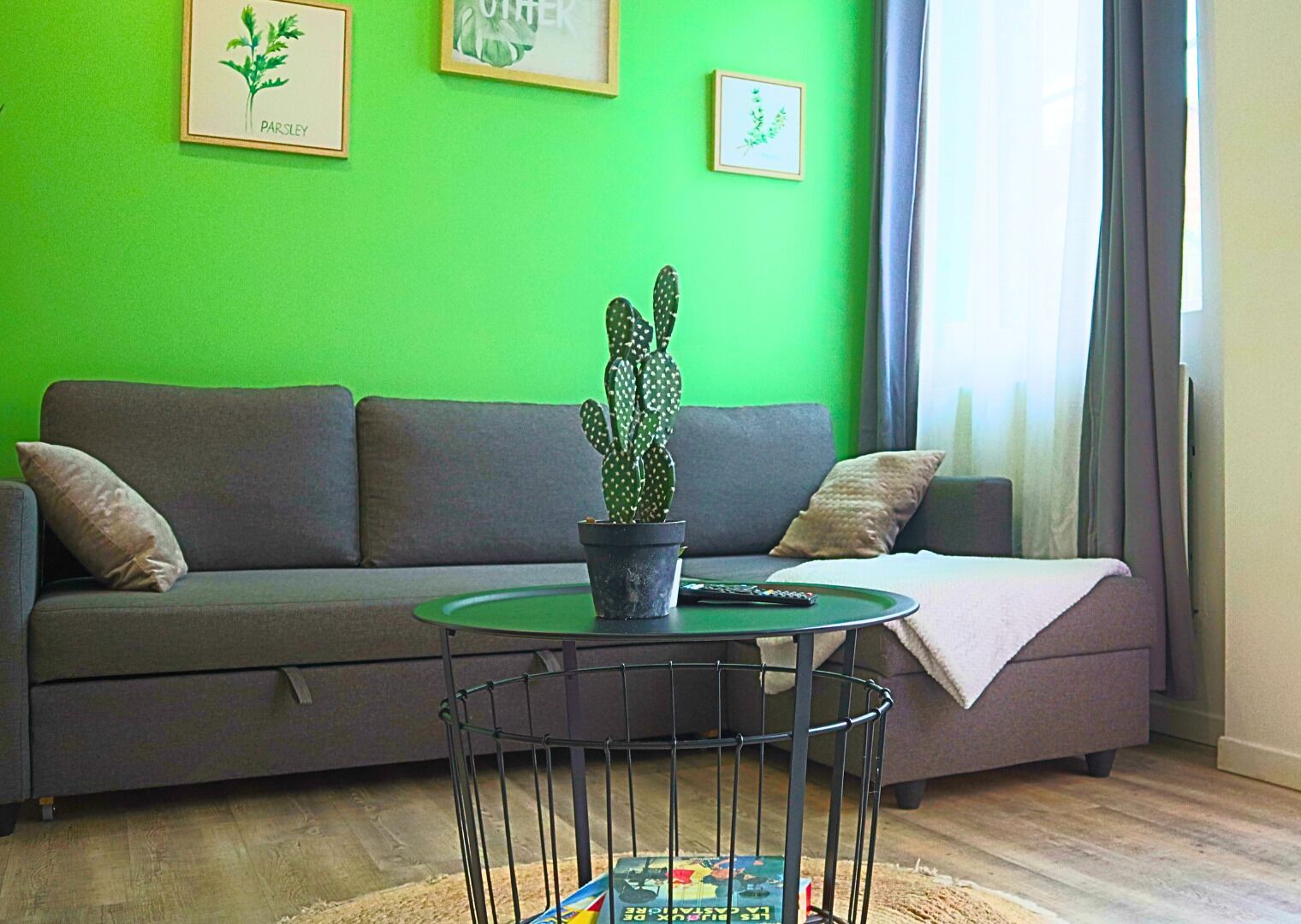 A living room with a green wall, a grey sofa, a round coffee table with a cactus, and a remote control on it.