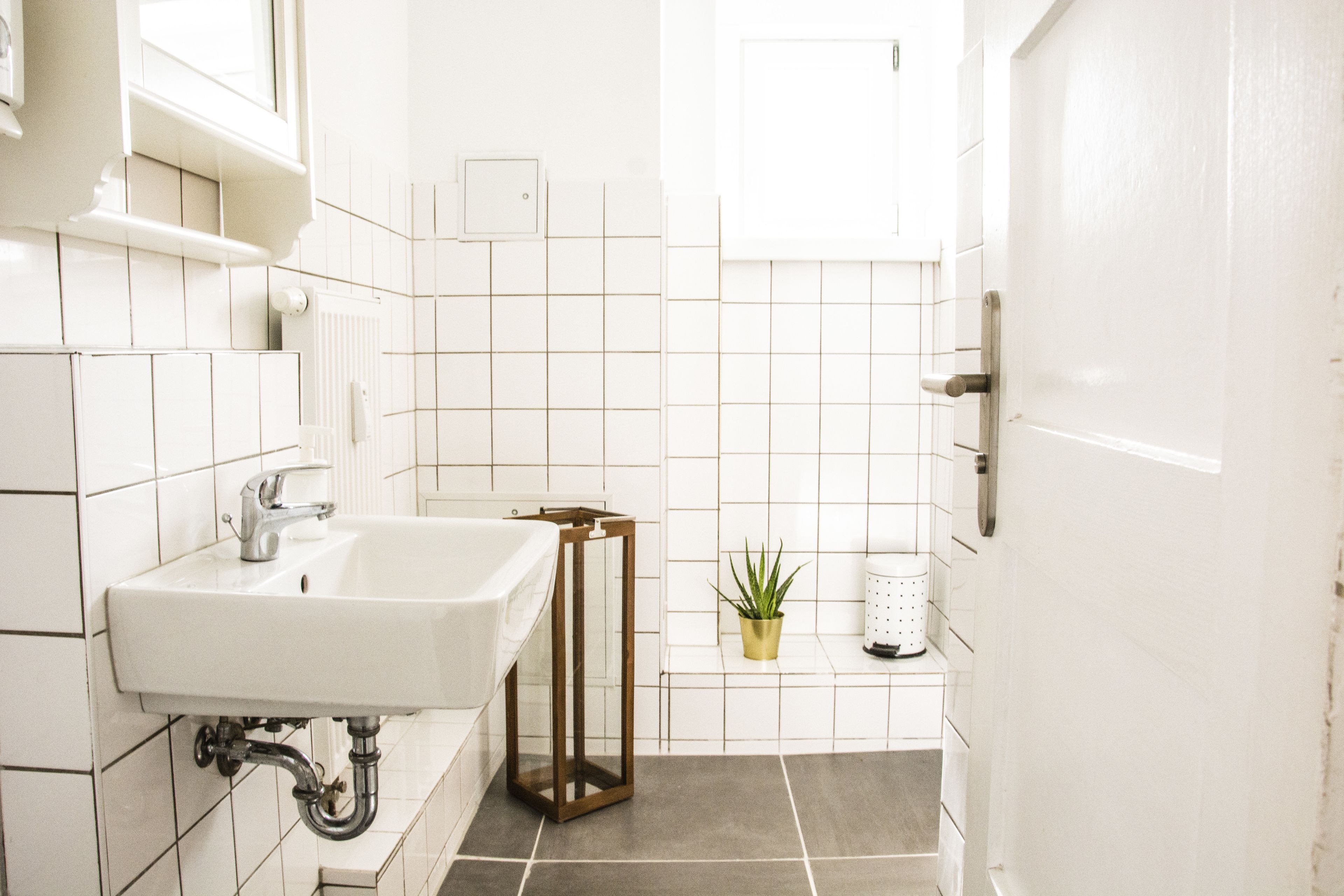 A bathroom with a white sink, a mirror, a shower, and a potted plant.