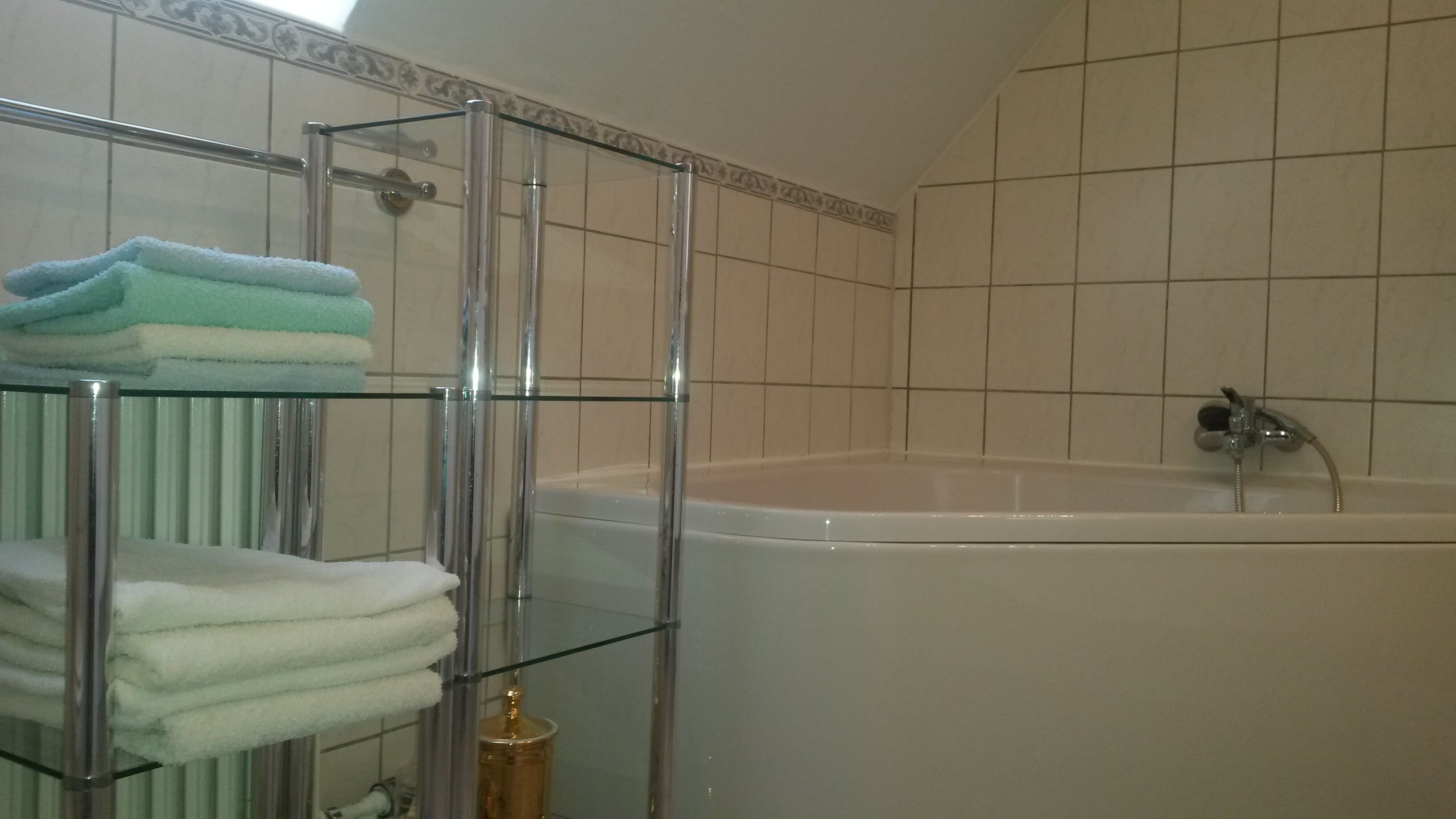 Bathtub, hair dryer, towels, toilet paper