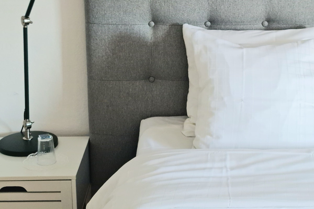 Premium bedding, down comforters, iron/ironing board, free WiFi