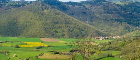 Paisaje rural con colinas onduladas, campos y un pequeño pueblo.