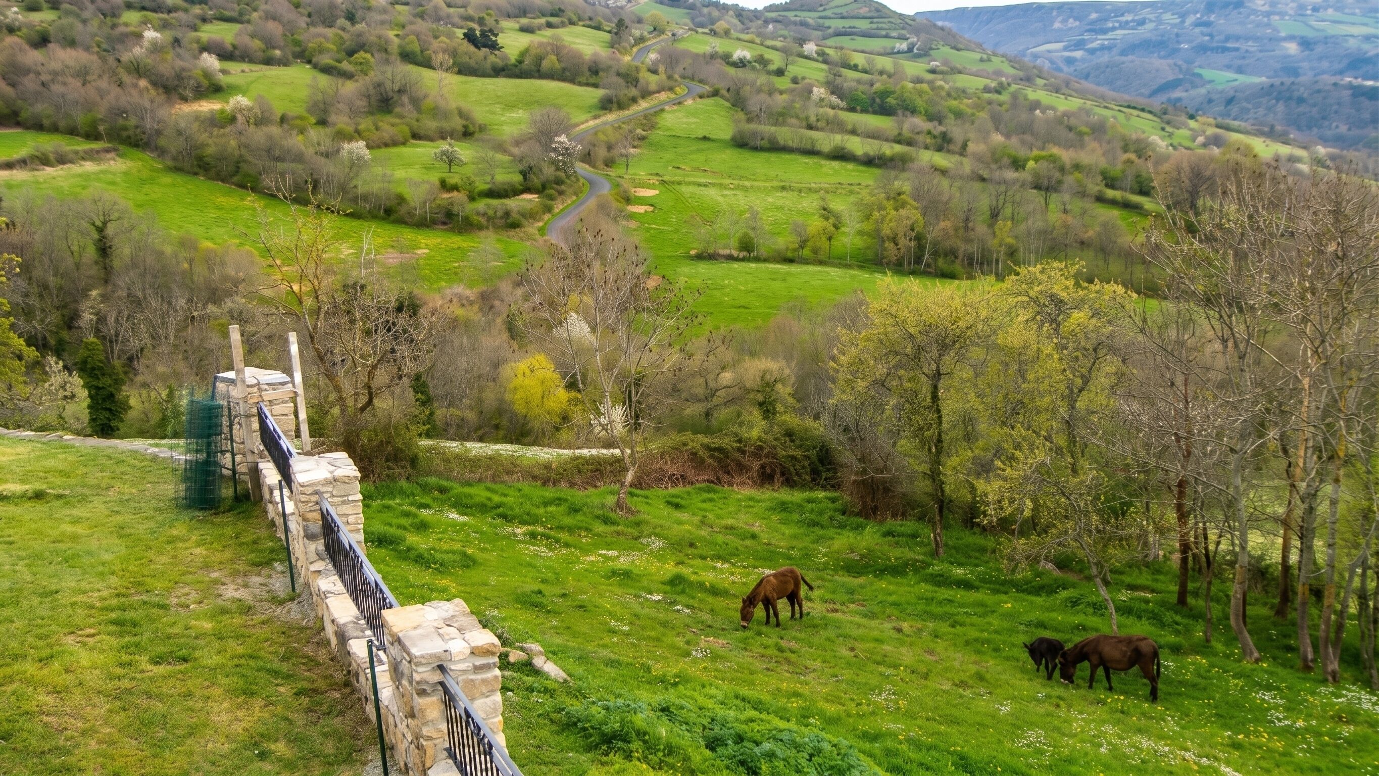 A rural landscape with rolling hills, a stone wall, and grazing horses.
