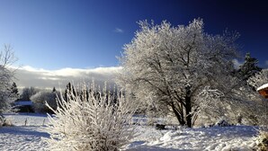 A snow-covered landscape with trees and a house in the background. - THE 46, located on the edge of the D265, without neighborhood, surrounded by meadows and forests (Saint-Sauveur-la-Sagne)
