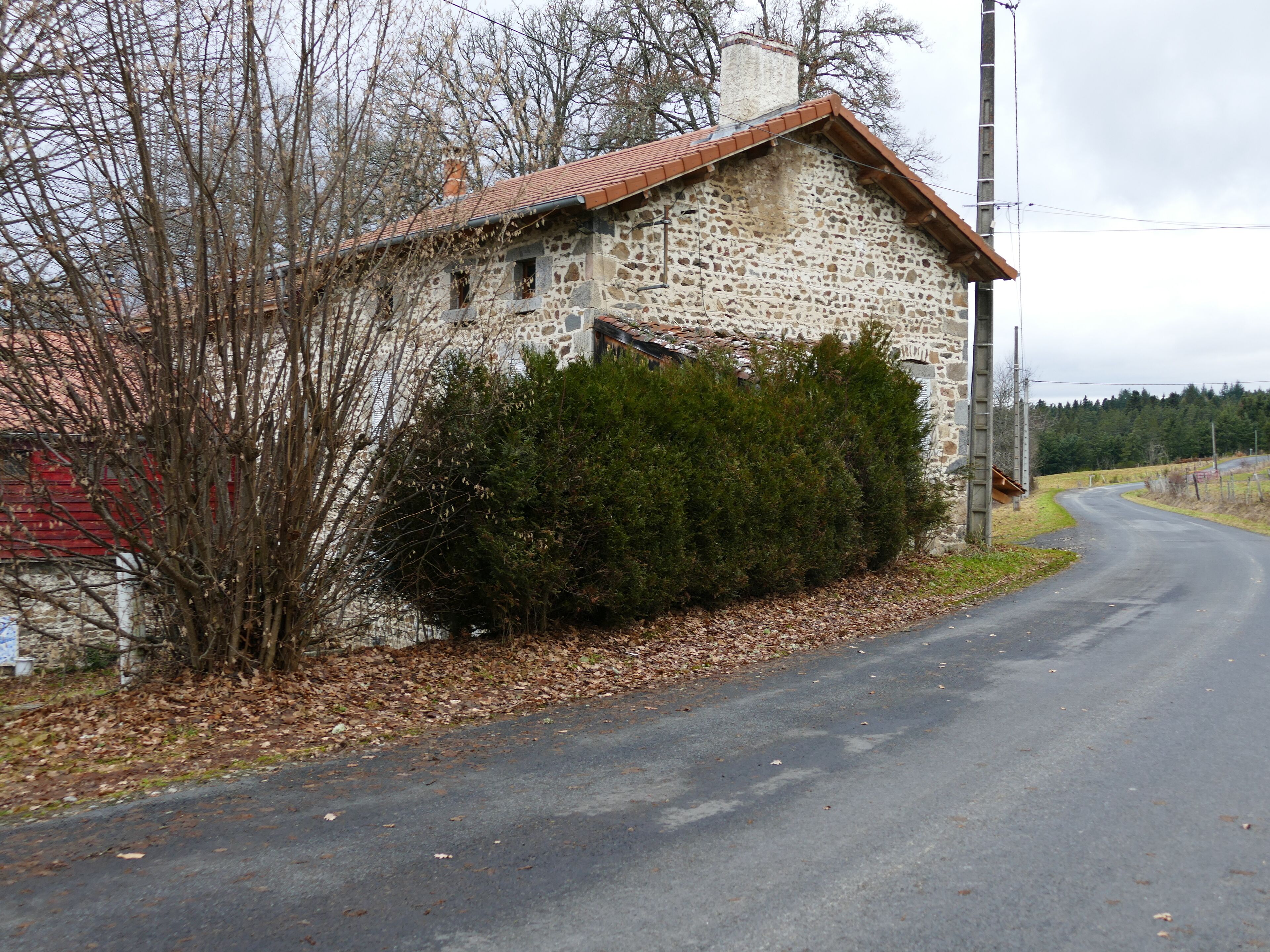 Un edificio in pietra con tetto in tegole rosse, una strada stretta e terreno ricoperto di foglie.