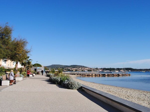 Plage, chaises longues