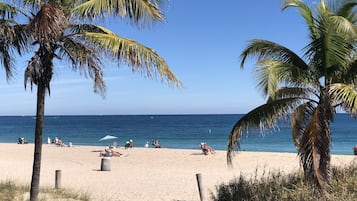 Ubicación a pie de playa, tumbonas y toallas de playa