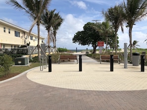 A paved walkway with benches, palm trees, and a view of the ocean.