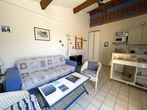 TV - Apartment in Banyuls-sur-Mer, terrace, parking, air conditioning, sea view (Banyuls-sur-Mer)