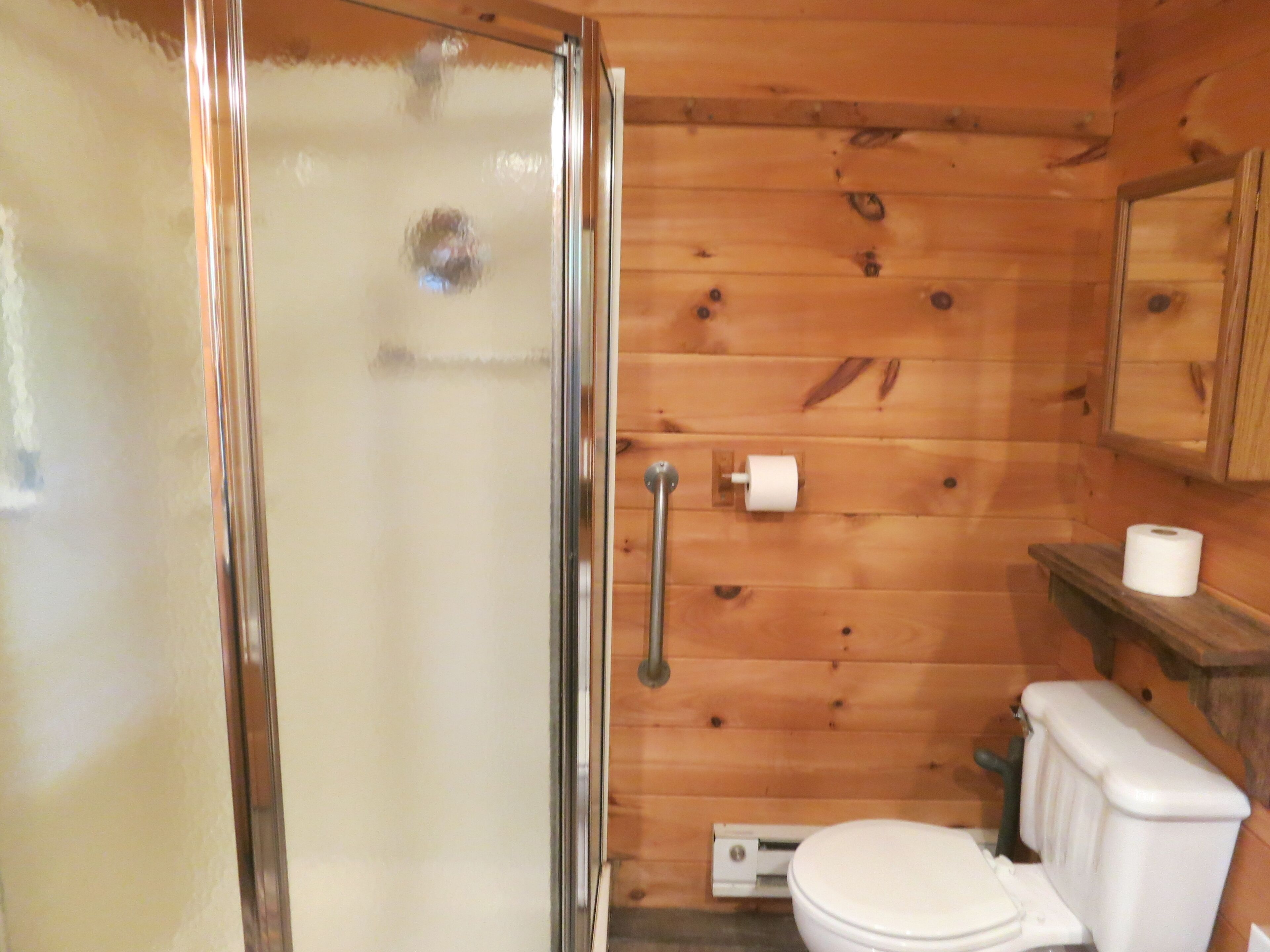 A wooden cabin bathroom with a glass shower door, a toilet, and a wooden shelf with a toilet paper holder.