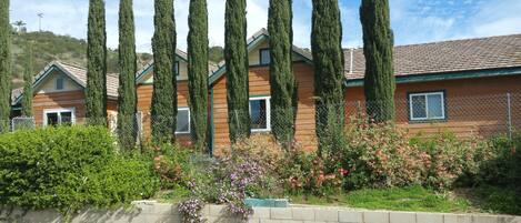A row of wooden houses with a brick wall in front, surrounded by tall cypress trees and flowering plants.