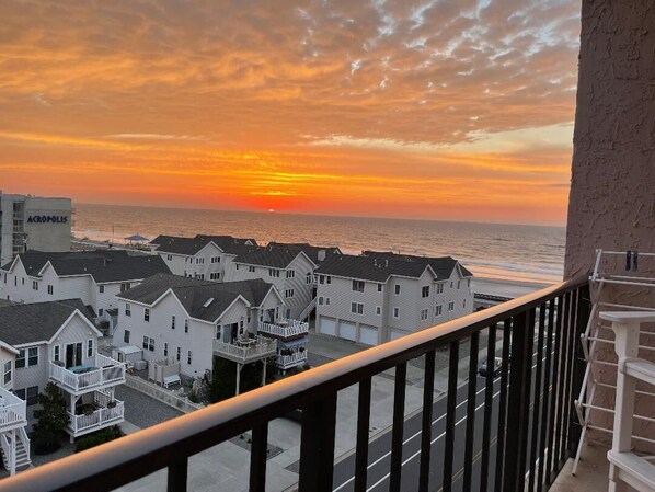 A coastal residential area with houses and a clear view of the sunset over the ocean.