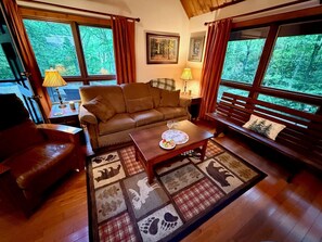 Smart TV, fireplace, books