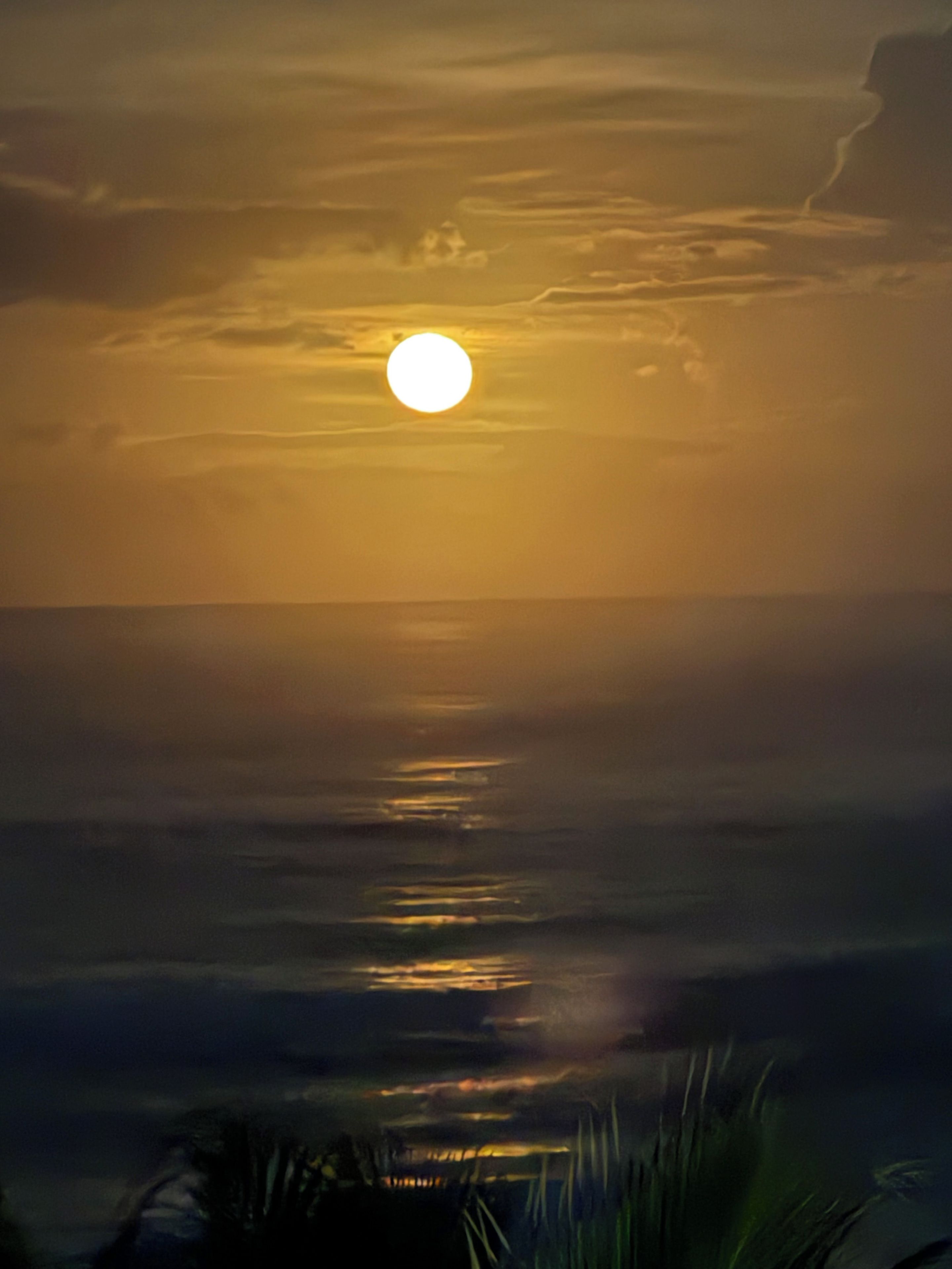 Un coucher de soleil sur une mer calme, sous un ciel dégagé.