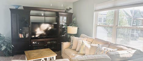 Smart TV, fireplace, books