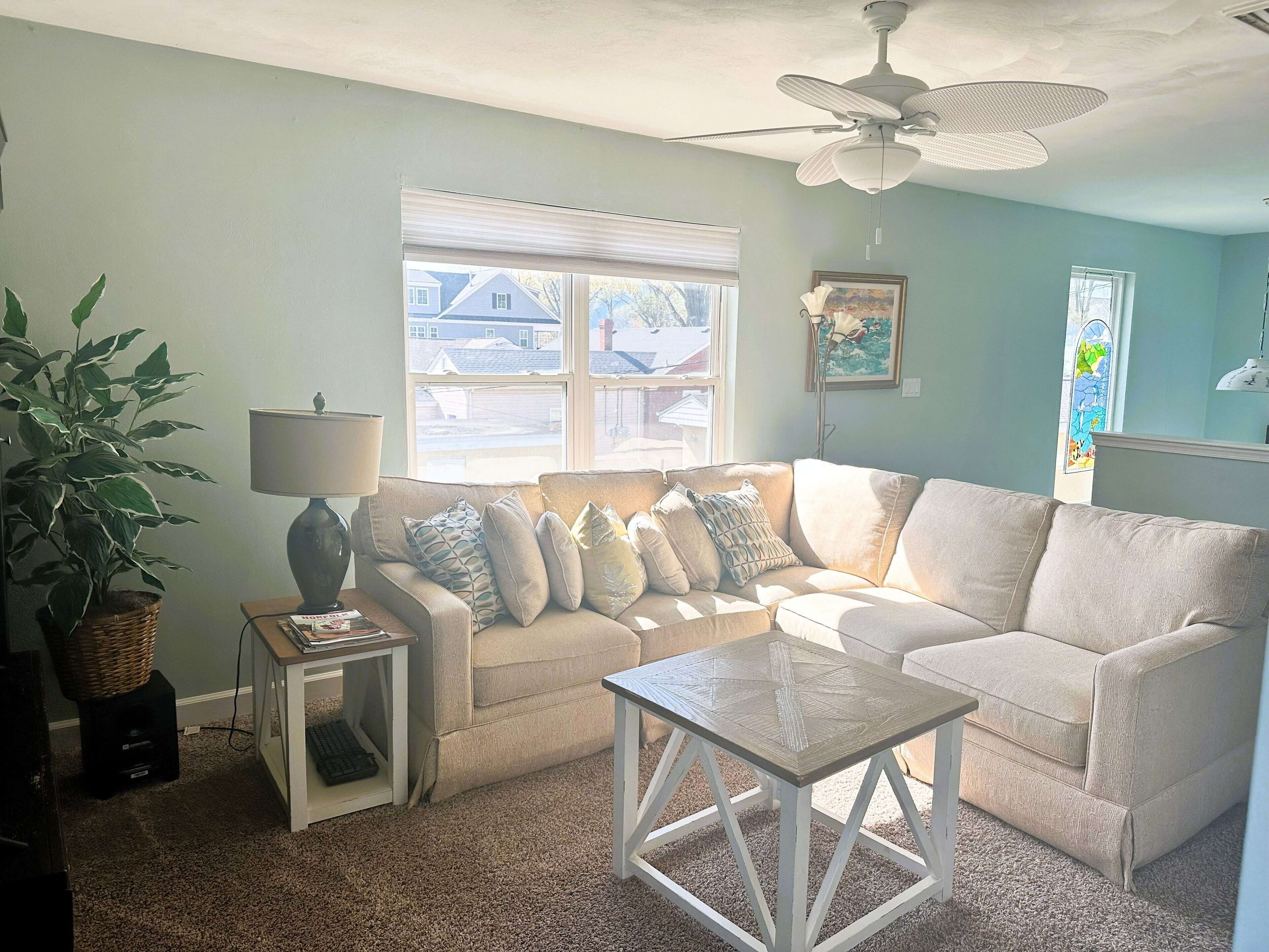 智能電視、壁爐、書籍